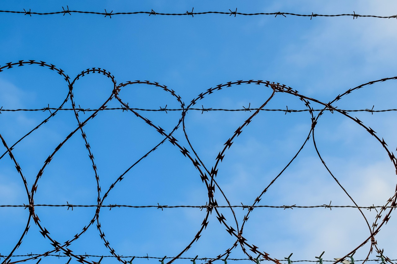 V粉卡实名账号：小草莓app详情下载教程安装