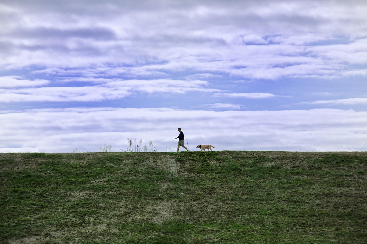 诛仙3：龙岗区企业注册代理公司