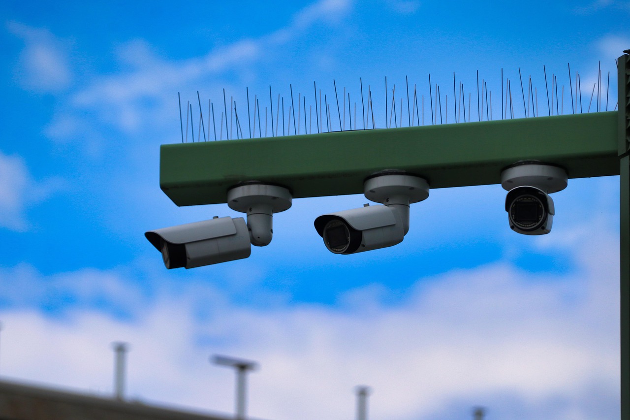 铁塔猫日月双爆珠（粗）：代理企业平台