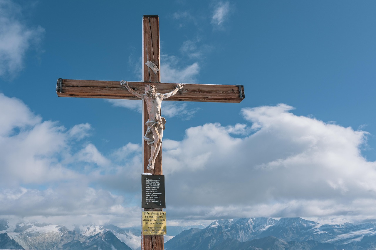 Mond梦都橙子:版权争议代理平台