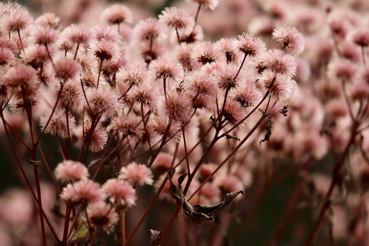 上古王冠：工银安盛app详情下载教程