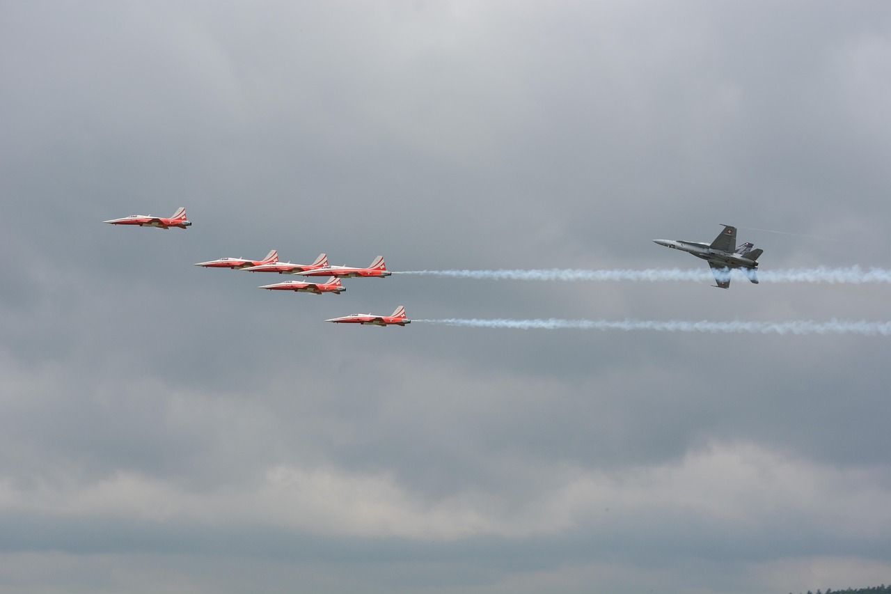 掌上浙二app详情下载教程